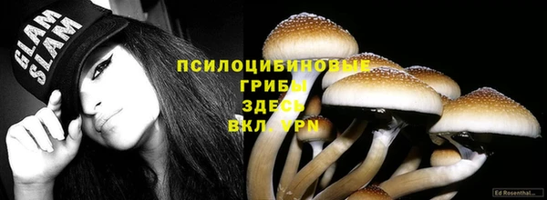 ALPHA-PVP Покровск