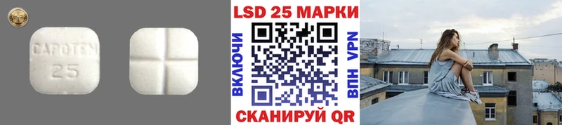 OMG как войти  Шилка  Лсд 25 экстази ecstasy  что такое наркотик 